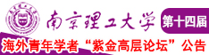 黑丝包臂裙日本骚在线南京理工大学第十四届海外青年学者紫金论坛诚邀海内外英才！